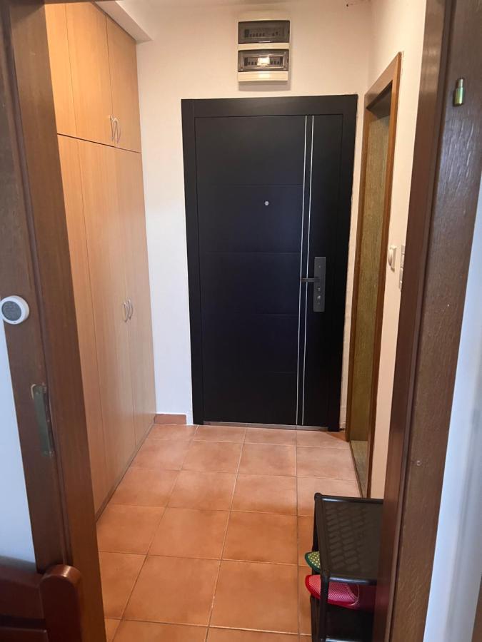 Stankela Apartment نوفي ساد المظهر الخارجي الصورة